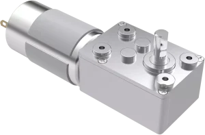 Home category dc worm gear motor
