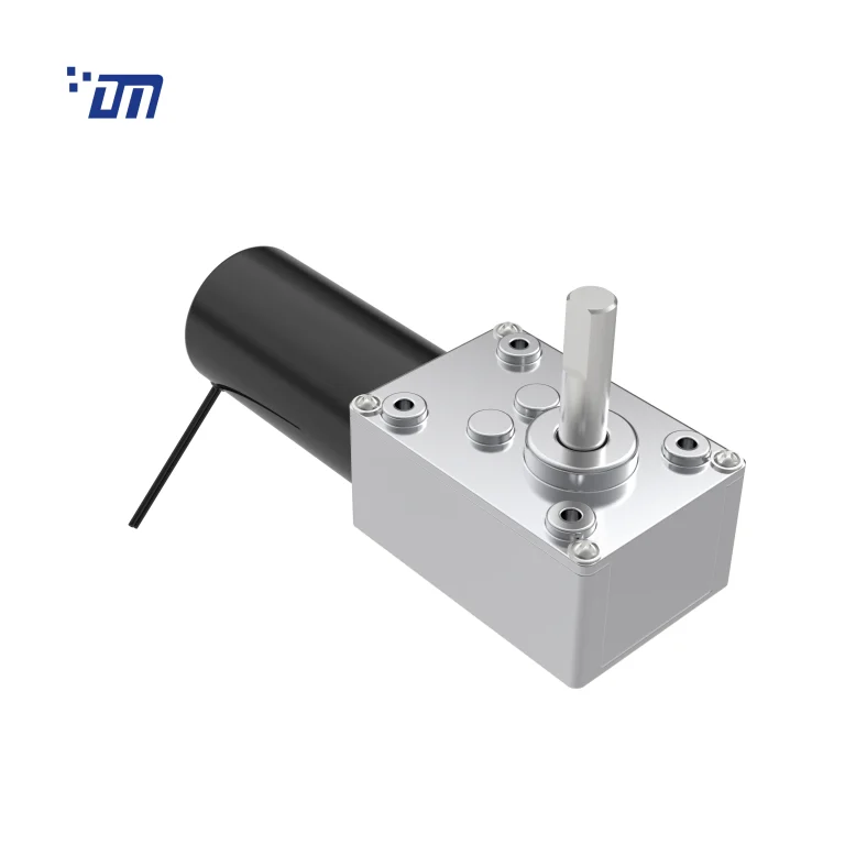 12 Volt Worm Gear Motor DM 58WM31ZY
