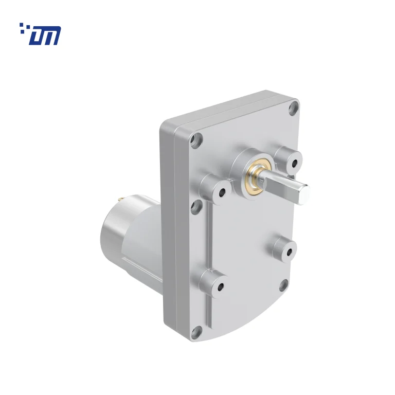 12V DC Gear Motor Factory DM 95SM555