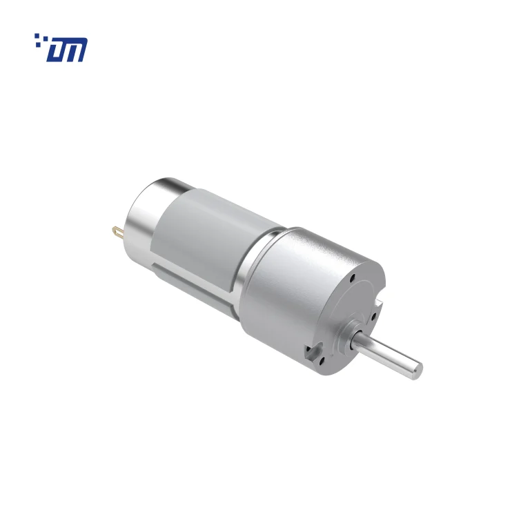 12V DC Gear Reduction Motor DM 33SM395