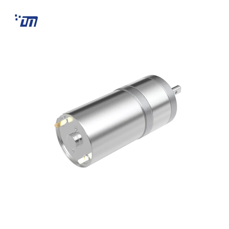 12V Spur Gear Motor DM 25SM370