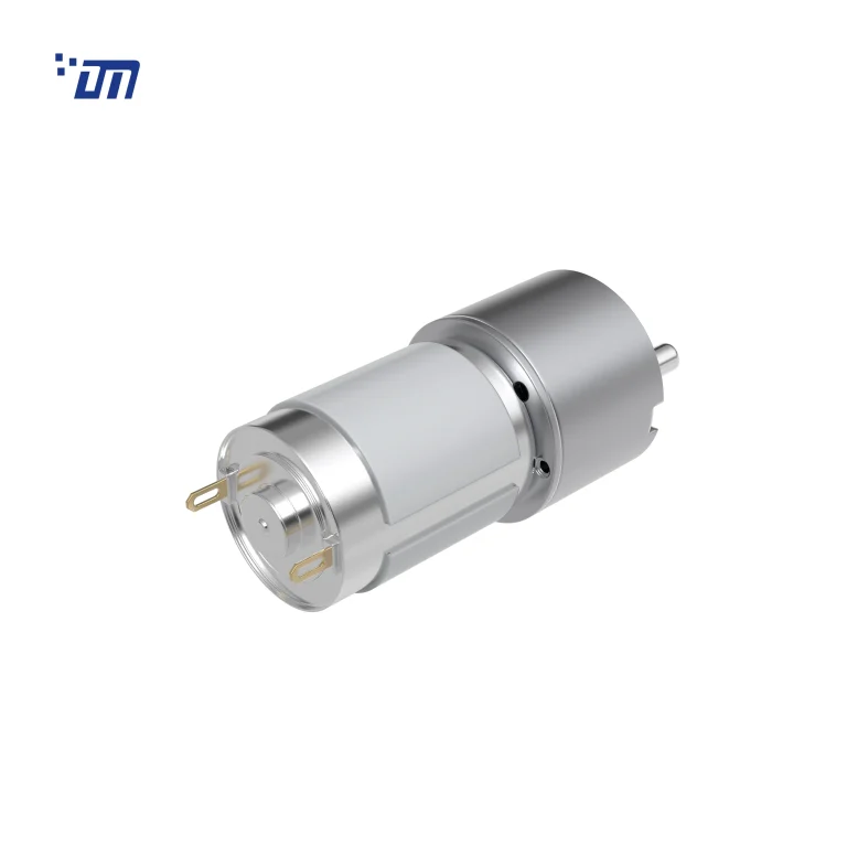 1rpm DC Gear Motor DM 33SM385