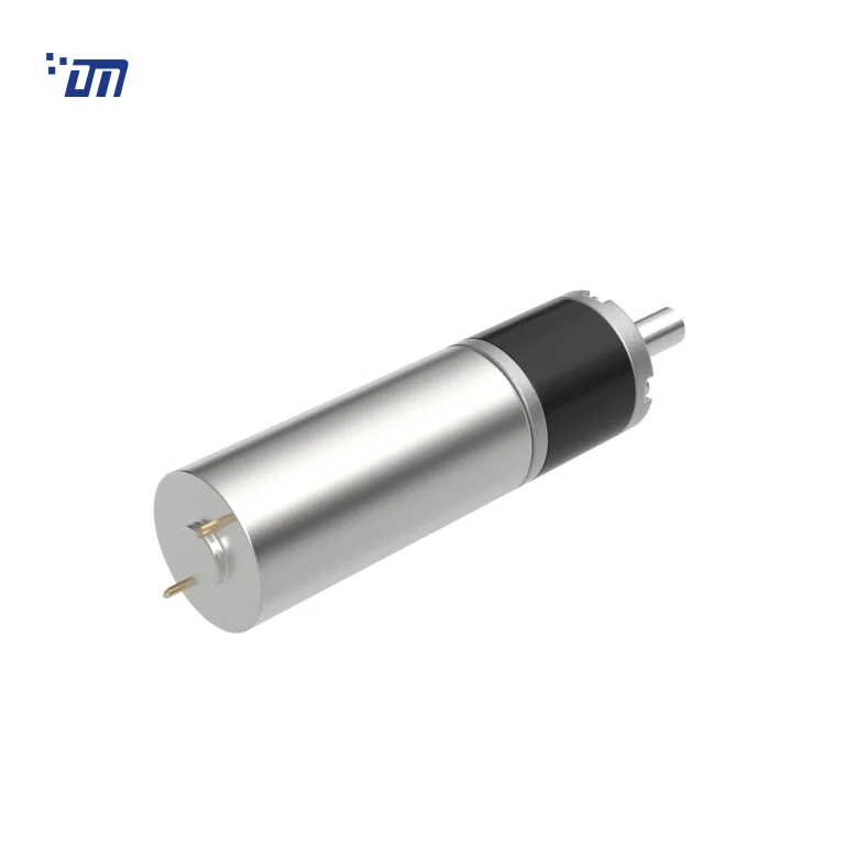 22mm Planetary Gear Motor DM 22PM2247