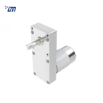 24V DC Gear Motor High Torque DM 100SM555