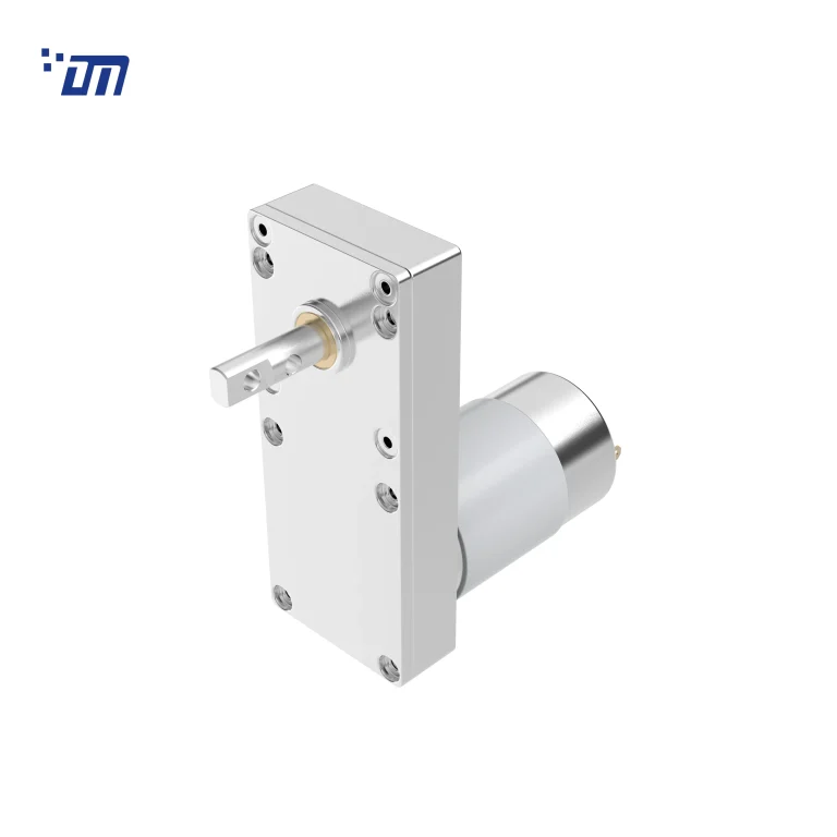 24V DC Gear Motor High Torque DM 100SM555