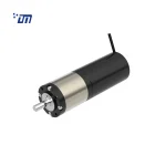 24V Planetary Gear Motor DM 42PM42ZY