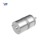 24V Spur Gear Motor DM 25SM310