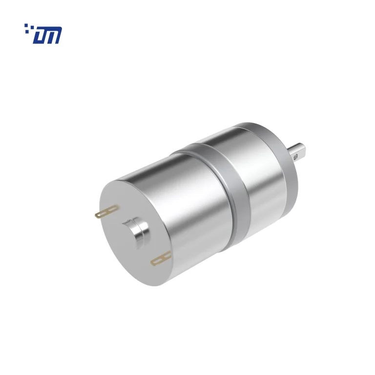 24V Spur Gear Motor DM 25SM310