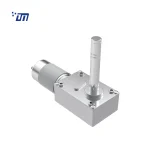 24vdc Worm Gear Motor DM 75WM555