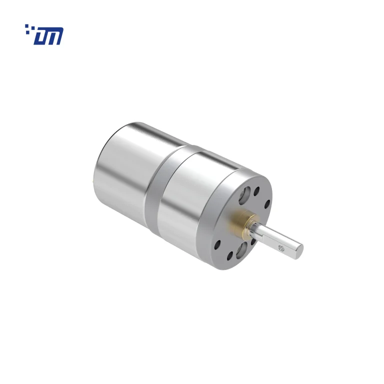 25rpm Gear Motor DM 25SM310