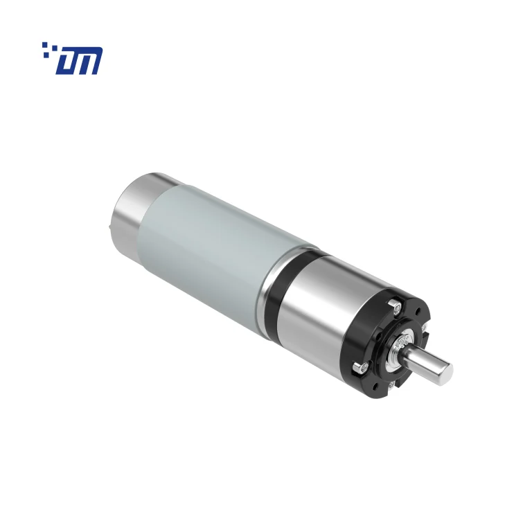 36mm DC Planetary Gear Motor DM 36PM597