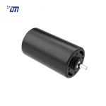 BLDC Gear Motor 12V DM BL4275