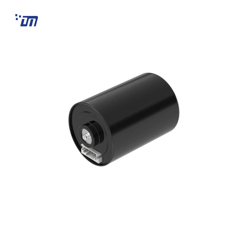 BLDC Gear Motor DM BL3650