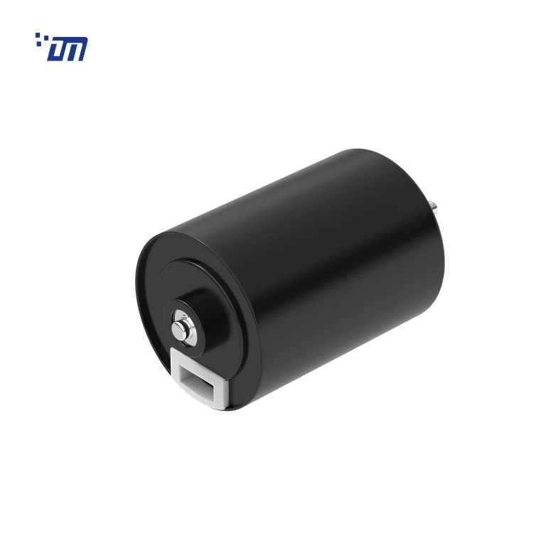 BLDC Gear Motor SupplierDM BL2838