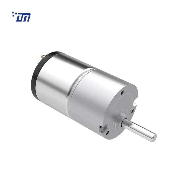 Brushed DC Gear Motor DM 33SM528