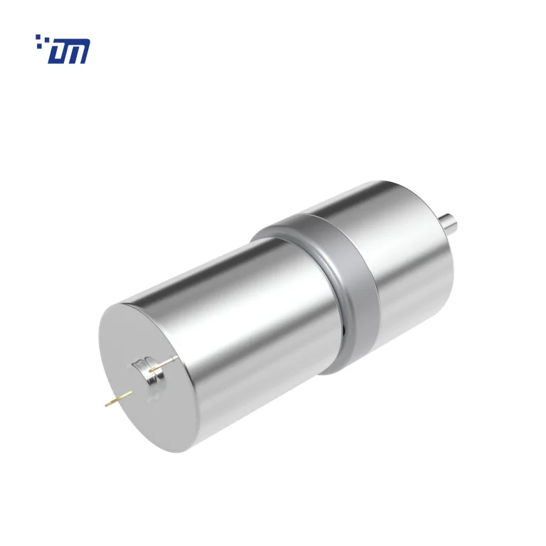 Brushed DC Gear Motor Supplier DM 27SM370
