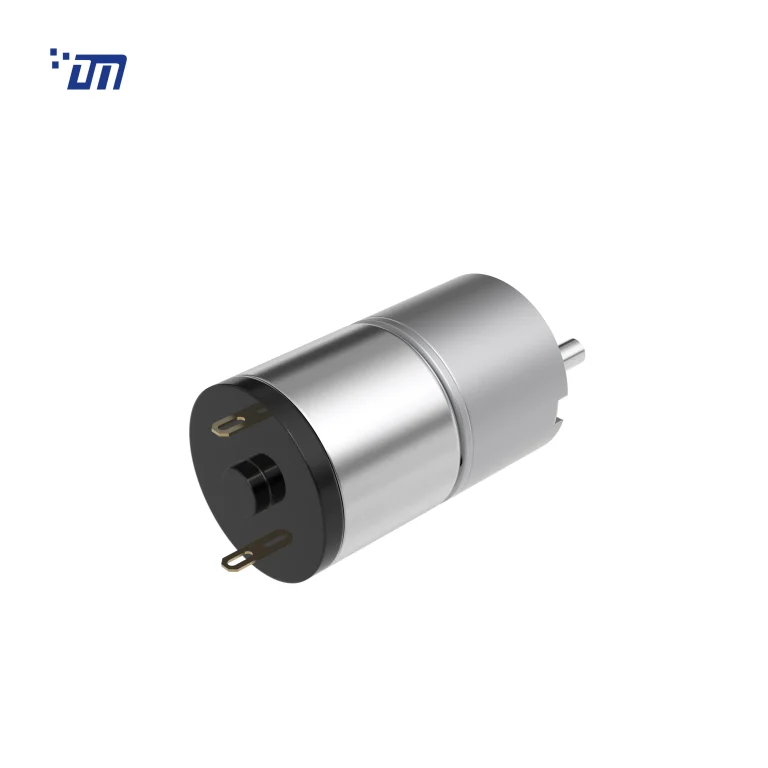 Brushed DC Gear Motor Supplier DM 33SM528