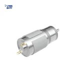 Brushed DC Motor With Gearbox DM 25SM385