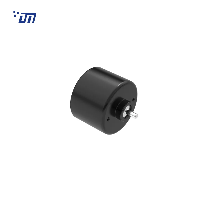 Brushless DC Gear Motor 12V DM BL3626