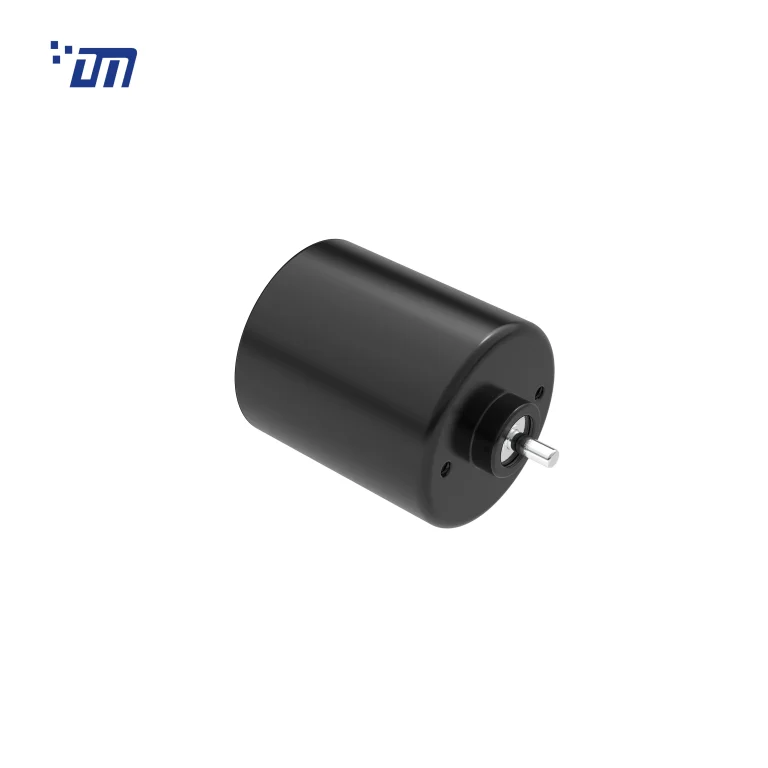 Brushless DC Gear Motor China DM BL3640
