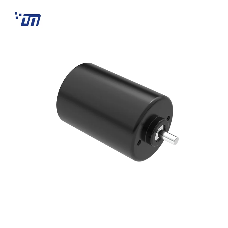 Brushless DC Gear Motor Factory DM BL4260