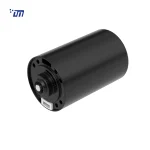 China BLDC Gear Motor DM BL4266