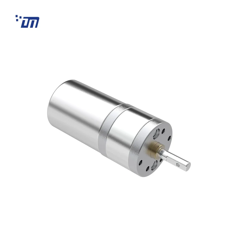 China DC Gear Motor DM 25SM370