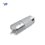 Customized DC Gear Motor DM 30SM395