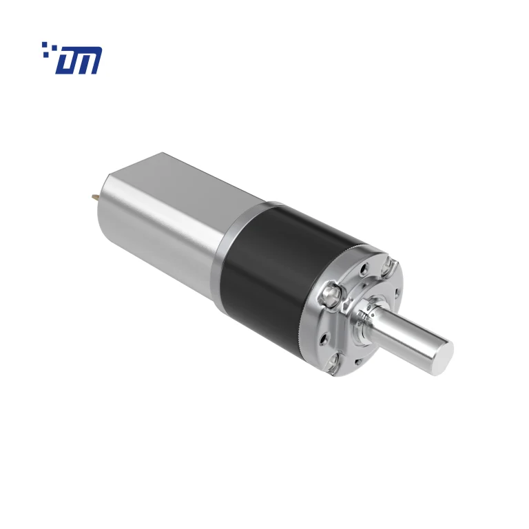DC Gear Motor 6V DM 22PM180