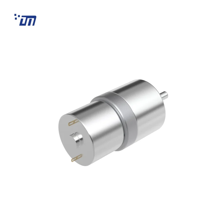 DC Gear Motor DM 27SM310