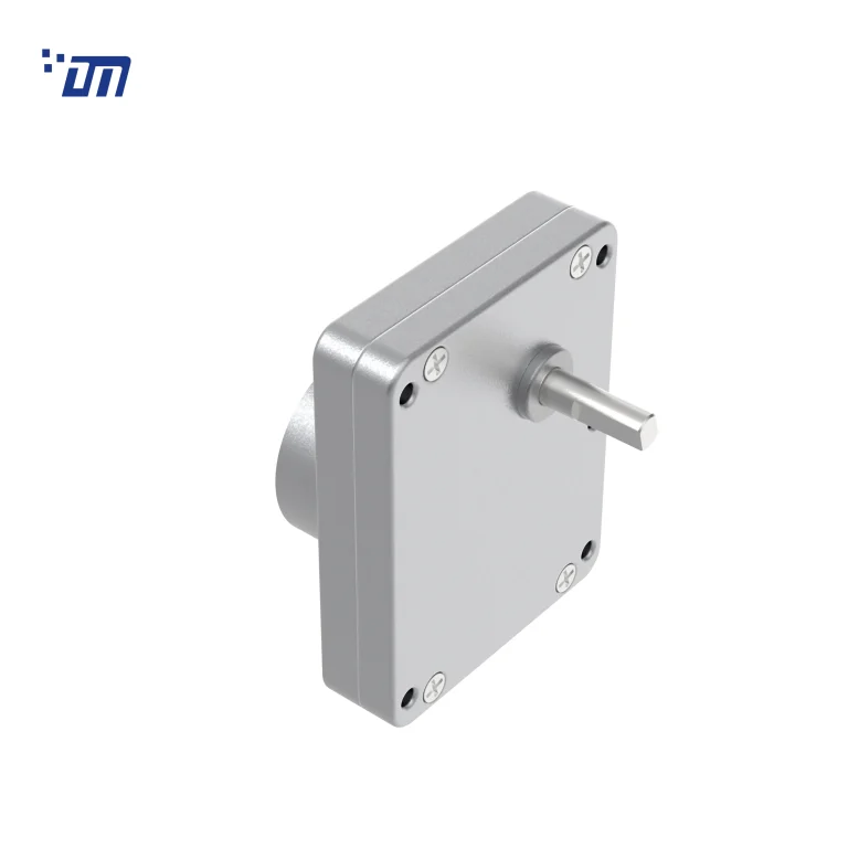 DC Gear Motor Professional DM 70SM3525