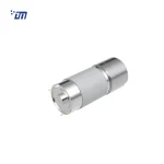 DC Gear Motor With Encoder DM 30SM395