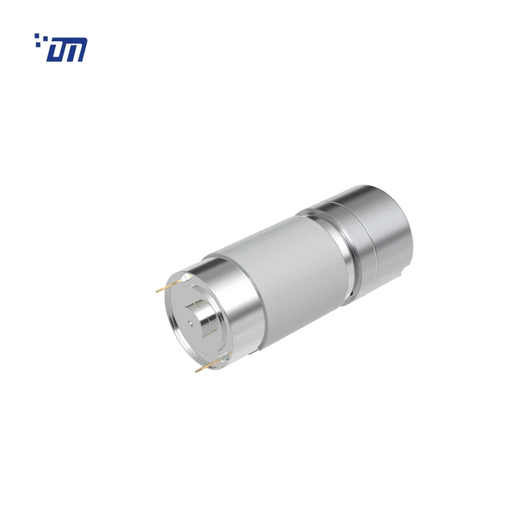 DC Gear Motor With Encoder DM 30SM395