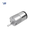DC Spur Gear Motor DM 33SM528