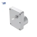 DC Square Gear Motor DM 70SM3525