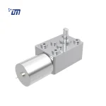 DC Worm Gear Motor DM 46WM370