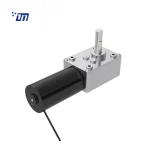 DC Worm Gear Motor Factory DM 58WM31ZY