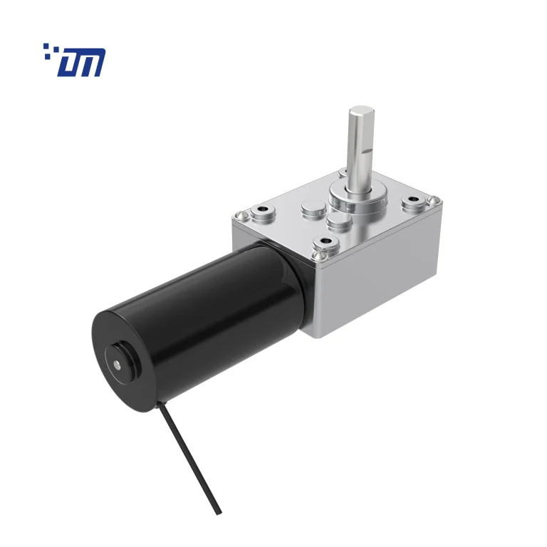 DC Worm Gear Motor Factory DM 58WM31ZY