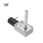DC Worm Gear Motor Factory DM 75WM36ZY