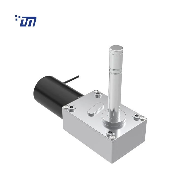 DC Worm Gear Motor Factory DM 75WM36ZY