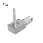 DC Worm Gear Motor Manufacturer DM 75WM555