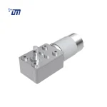DC Worm Gear Motor Manufacturers DM 46WM395