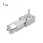 DC Worm Gear Motor Supplier DM 58WM555