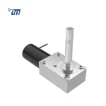 High Torque Worm Gear Motor DM 75WM36ZY