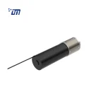 Planetary DC Gear Motor Supplier DM 56PM52ZY