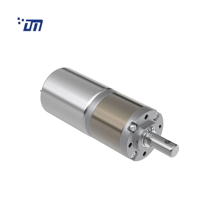 Planetary Gear Motor 12V DM 24PM370