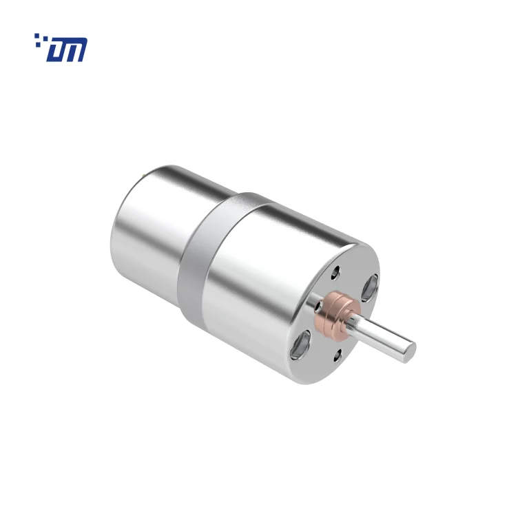 Small DC Gear Motor Factory DM 27SM310