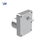 Wholesale BLDC Gear Motor DM 70SM3540