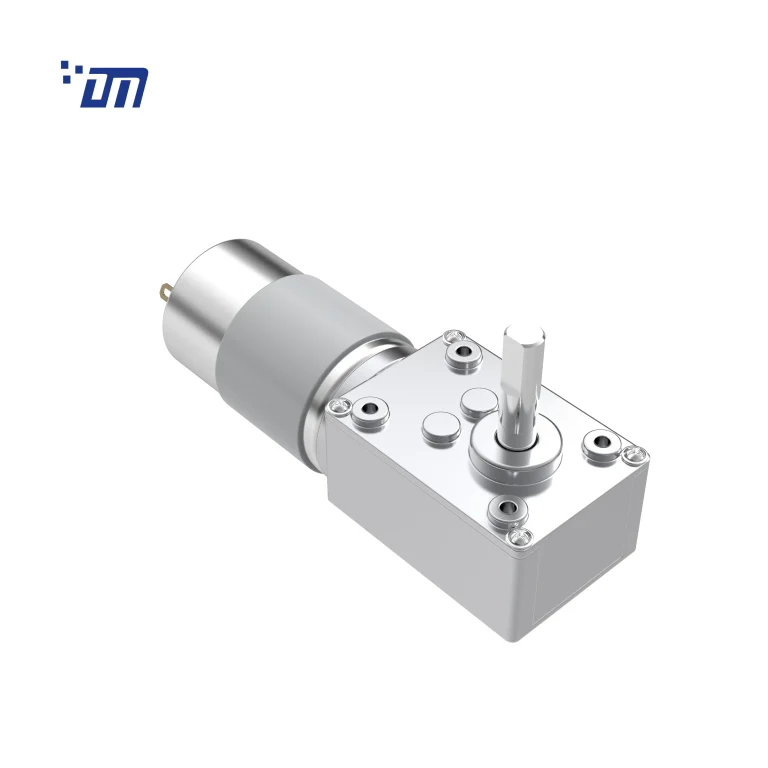 Worm Gear Motor 24V DM 58WM555