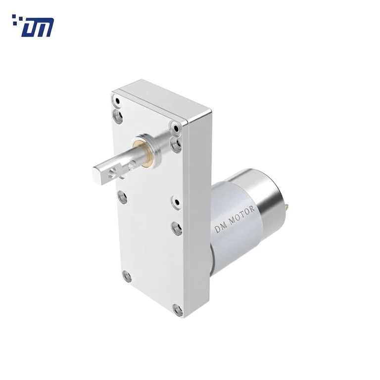 24V DC Gear Motor High Torque DM 100SM555